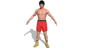 Bruce Lee v2 3D