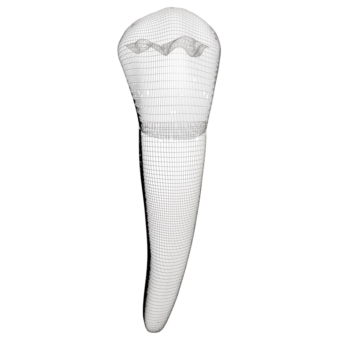 second premolar 3d max https://p.turbosquid.com/ts-thumb/7F/aIgMSz/Mg8QjiL2/454/jpg/1445114629/1920x1080/fit_q87/4ac448595e88ba7c24f8391de2c2f3cc748bf06d/454.jpg
