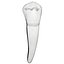Lower Second Premolar