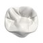Lower Second Premolar