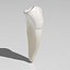 Lower Second Premolar