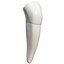 Lower Second Premolar