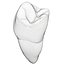 Lower Second Premolar