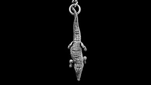 3D Crocodile key holder model