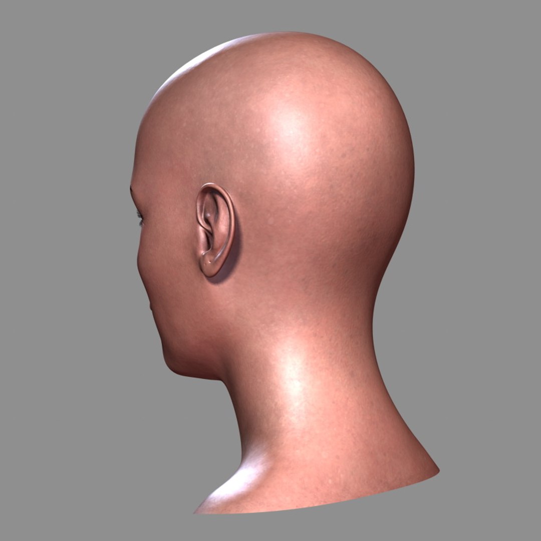 3d woman head https://p.turbosquid.com/ts-thumb/7F/nABl7D/7Uu9bgej/womanheada_08/jpg/1386002754/1920x1080/fit_q87/ed4b11896445aa6f0e2f7a1d52650d9f88d7fa77/womanheada_08.jpg