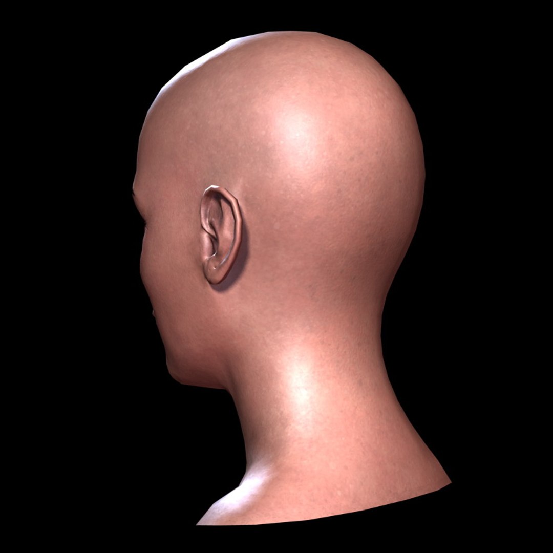 3d woman head https://p.turbosquid.com/ts-thumb/7F/nABl7D/aFi5xSwd/womanheada_16/jpg/1386002833/1920x1080/fit_q87/4fb6d83db8c0ad7951ac2e80bc949422a8fb598d/womanheada_16.jpg