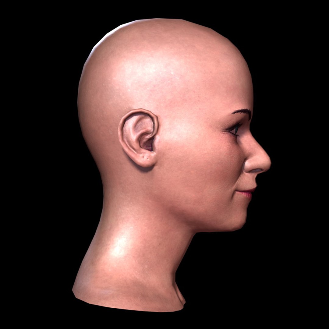 3d woman head https://p.turbosquid.com/ts-thumb/7F/nABl7D/o7IFd0sK/womanheada_13/jpg/1386002813/1920x1080/fit_q87/d117ce6e000cd029a26a6db14b58a724b1ed2c93/womanheada_13.jpg