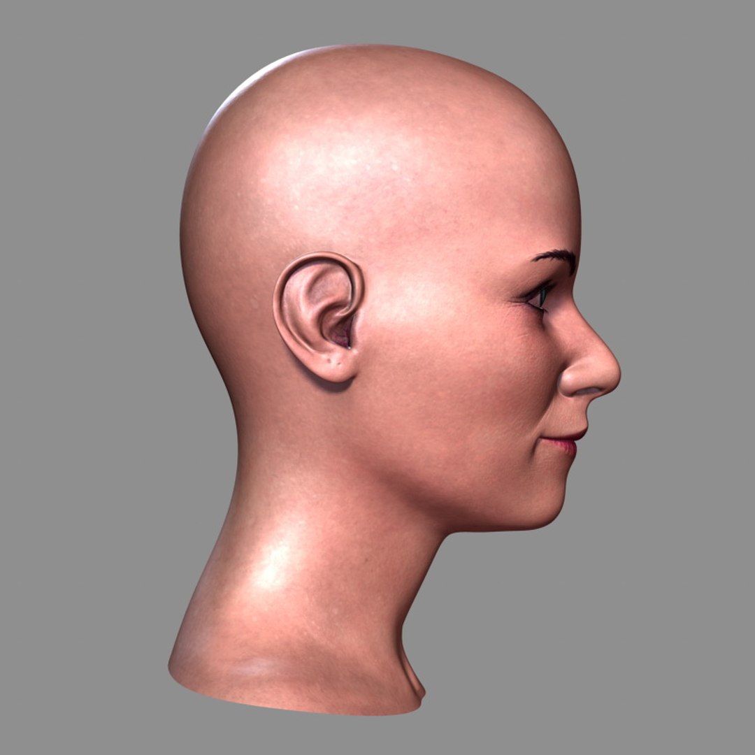 3d woman head https://p.turbosquid.com/ts-thumb/7F/nABl7D/yAR00V7w/womanheada_05/jpg/1386002739/1920x1080/fit_q87/16eb9e721972a334f0c87583df5643610651c13e/womanheada_05.jpg