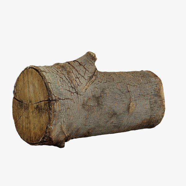 single wooden log