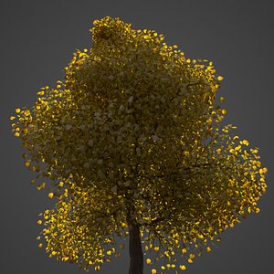 3D tree nature