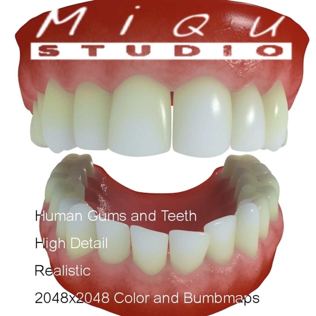 realistic human teeth gums 3ds