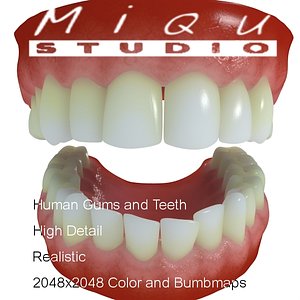 realistic human teeth gums 3ds