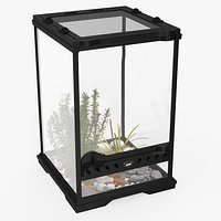 Little Desktop Terrarium with Plants