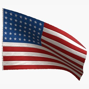 american flag 48 stars 3D model