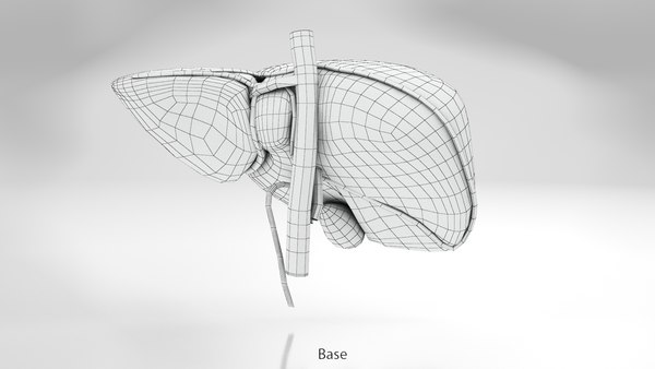 肝脏解剖3D模型 - TurboSquid 1821345
