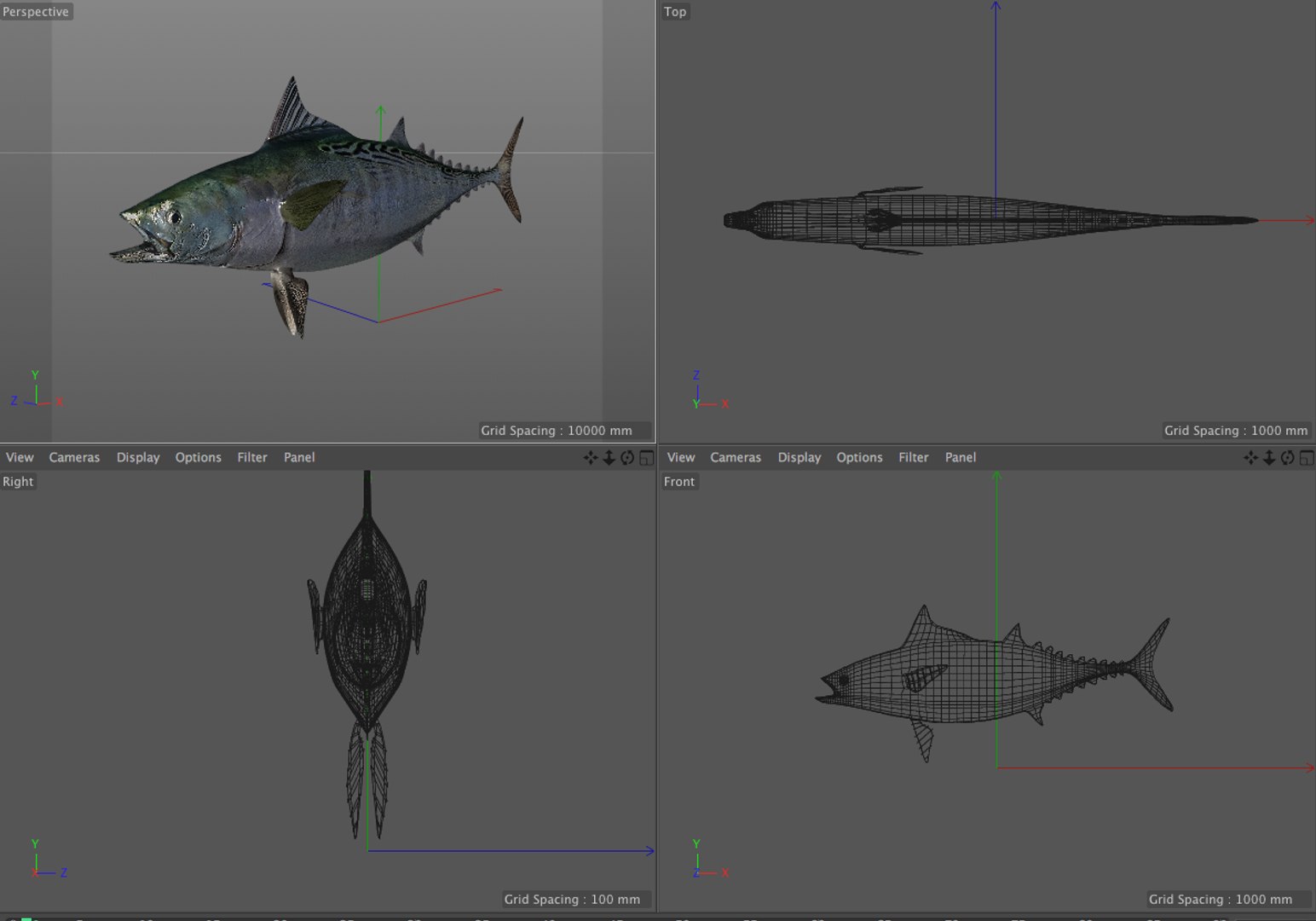 3D fish https://p.turbosquid.com/ts-thumb/7G/hOZnHs/xmLslrip/8/png/1588401500/1920x1080/fit_q87/63c3e70f8a685d47aff62e8082511dceacfea1e9/8.jpg