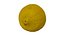 Half a Lemon - Extreme Definition 3D Scanned