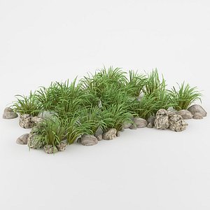 bush max