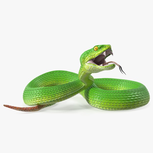 3D Attacking Green Snake Trimeresurus