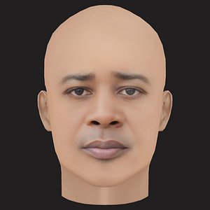 Low Poly Danny Brown Rapper Head