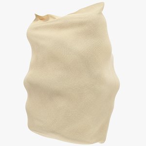 Sack V4 model