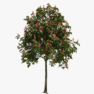 3D flowering tree