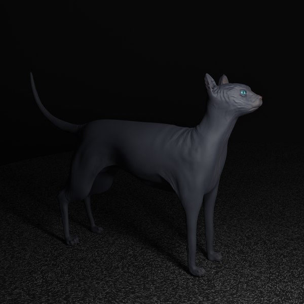 3D Egyptian Hairless Cat