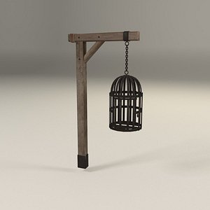 Suspended cage 3D model