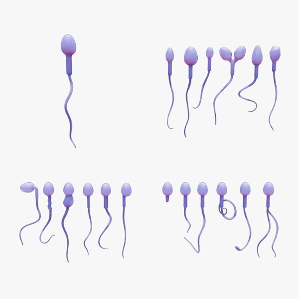 Оценка морфологии сперматозоидов | «Айвимед»