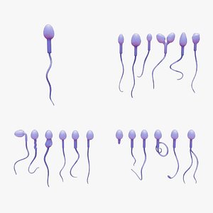 Sperm Morphology Normal and Abnormal