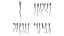 精子形态正常和异常