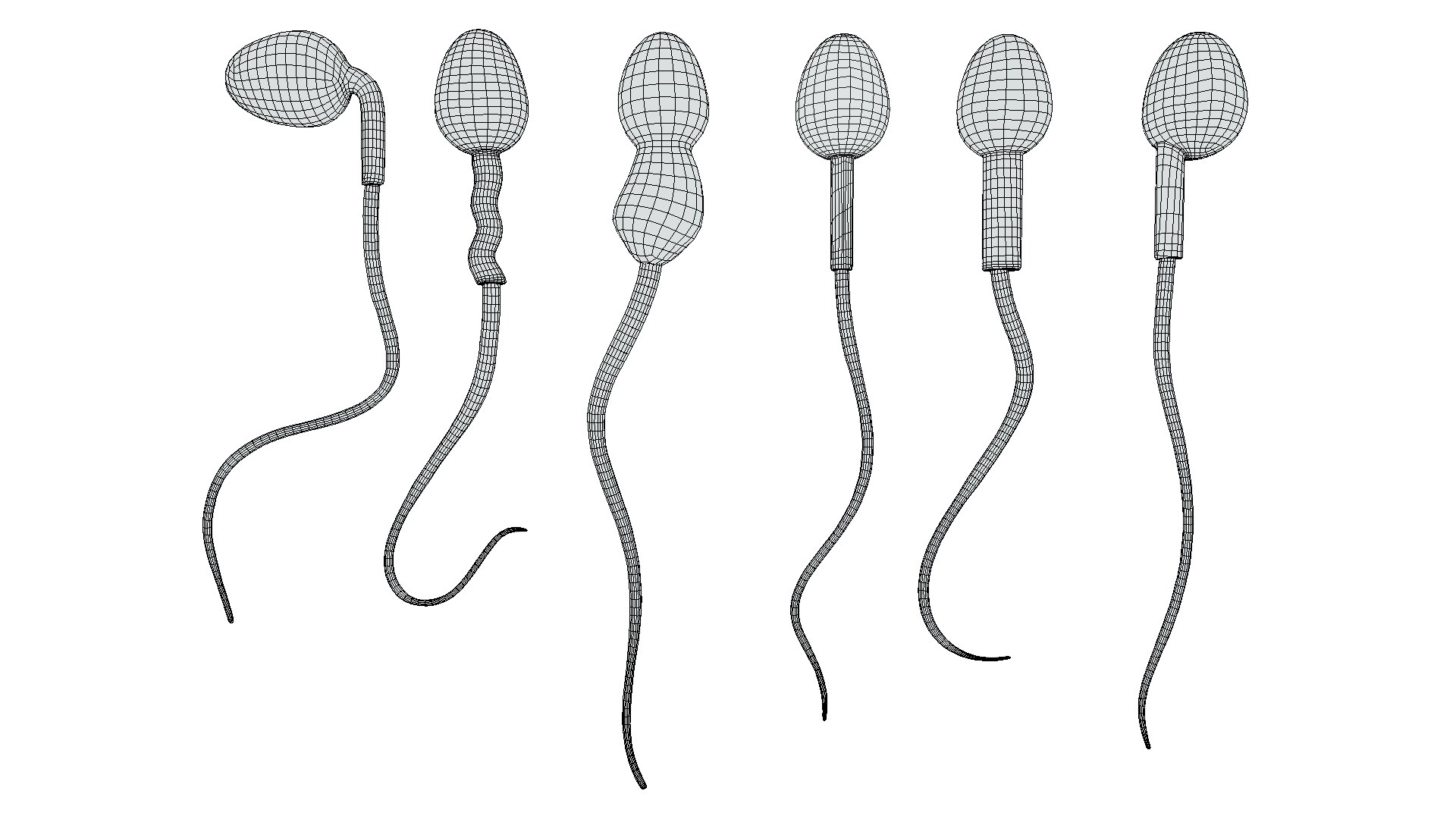 Sperm Morphology Normal and Abnormal 3D https://p.turbosquid.com/ts-thumb/7H/v2iO40/IQ/wire4/png/1696167496/1920x1080/fit_q87/10f6fe73dc77b6d972fc13e5132219f5b03a8b6d/wire4.jpg