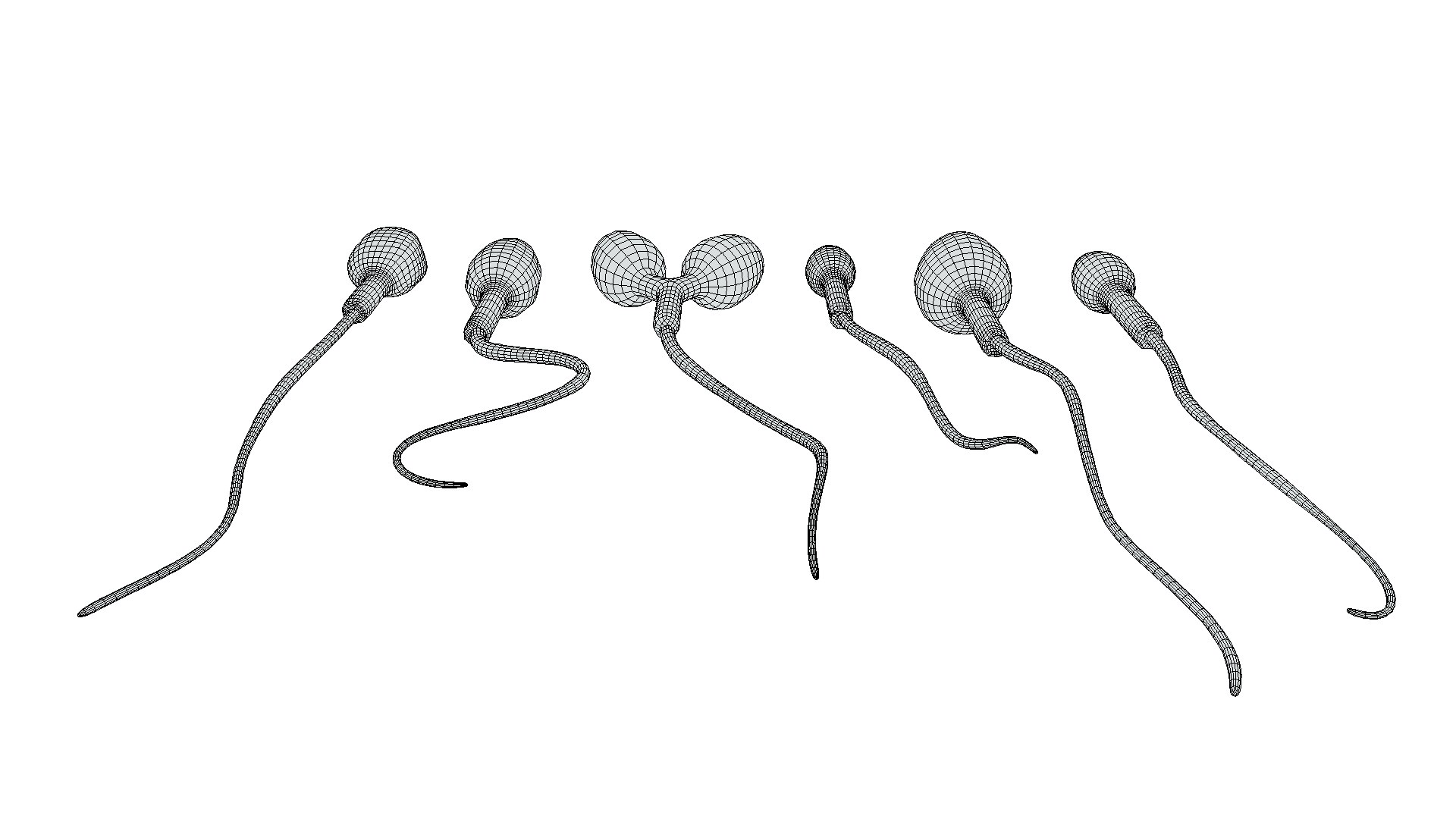 Sperm Morphology Normal and Abnormal 3D https://p.turbosquid.com/ts-thumb/7H/v2iO40/XZ/wire6/png/1696167498/1920x1080/fit_q87/40cf3ec09b443e86a9f489ffc74655080cfbf320/wire6.jpg