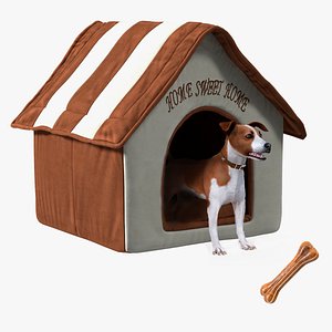 3D Jack Russell with Animal Accessories Collection model