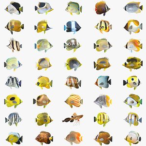 Butterflyfish Collection 1-40