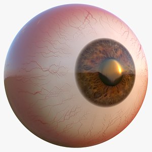 Eyeball