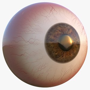 Eyeball