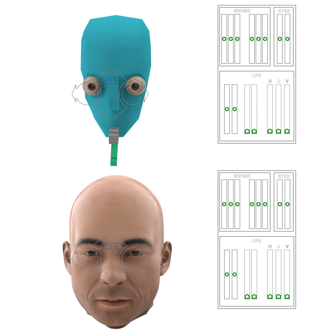 3d Male Head Rigged Model