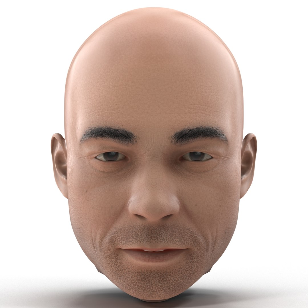 3d Male Head Rigged Model