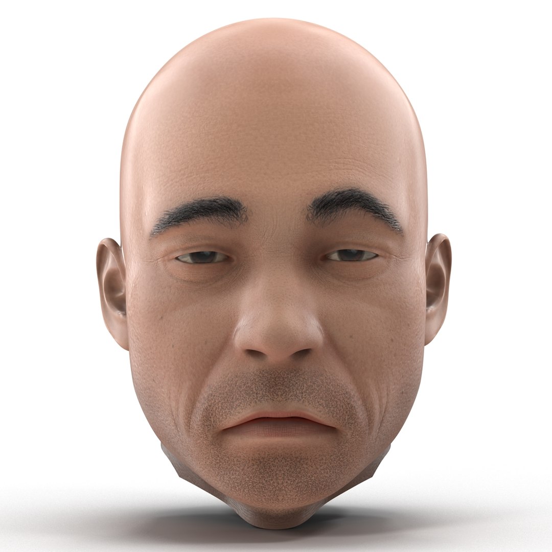 3d Male Head Rigged Model