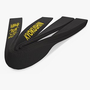 Kyokushin Black Obi Belt