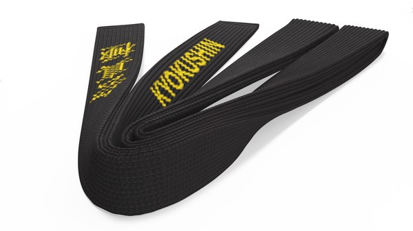 Ceinture kyokushin hotsell