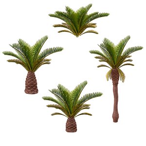 3D Palm