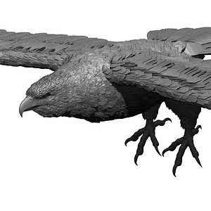 eagle model