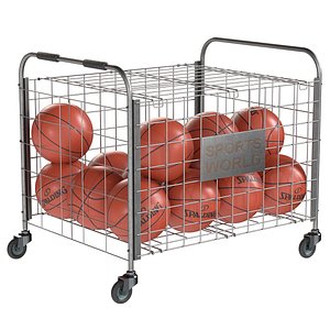 3D Metal ball storage steel and basketball spalding model