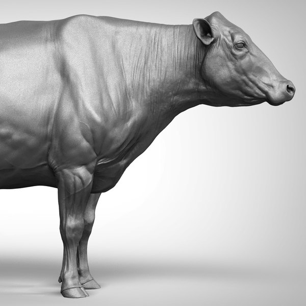 3D Cow dairy Zbrush model