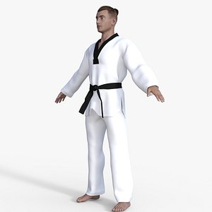 Realistic Karate Man