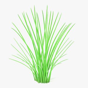 Aquatic Plant2