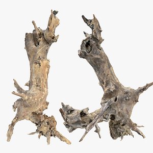 Withered tree root wood 3d scan in highpoly 3D model