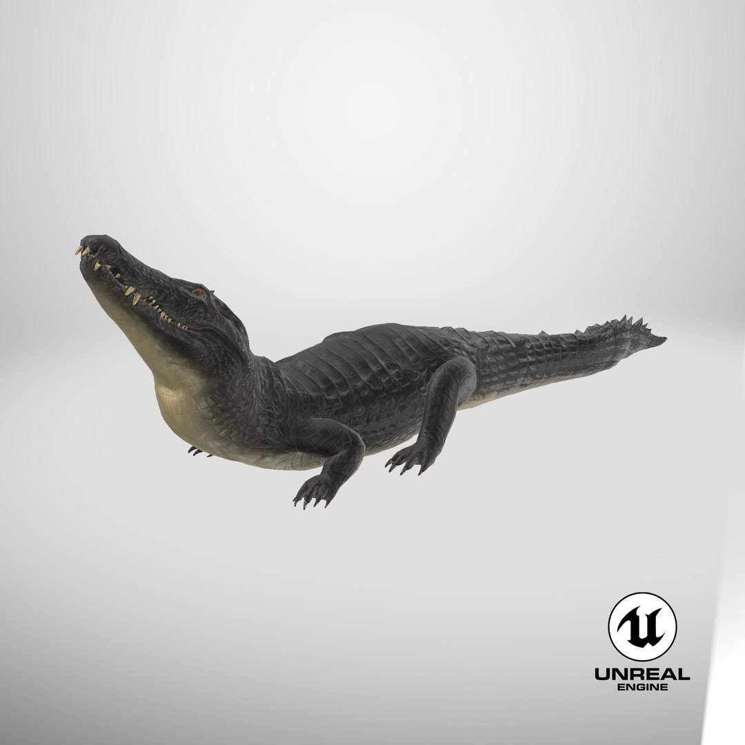 Black Caiman Looking Up model https://p.turbosquid.com/ts-thumb/7I/nTKAhs/7d/stemcell_unreal_render/png/1711968915/1920x1080/fit_q87/c4d8efb79d953350ea35c11da01becfedd65cc95/stemcell_unreal_render.jpg
